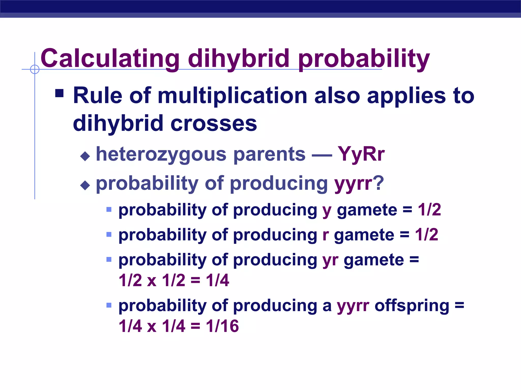 Calculating dihybrid probability
      Rule of multiplication also applies to
        dihybrid crosses
          heterozygous parents — YyRr
          probability of producing yyrr?

              probability of producing y gamete = 1/2
              probability of producing r gamete = 1/2
              probability of producing yr gamete =
               1/2 x 1/2 = 1/4
              probability of producing a yyrr offspring =
               1/4 x 1/4 = 1/16

AP Biology
 