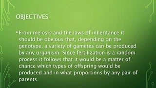OBJECTIVES
•From meiosis and the laws of inheritance it
should be obvious that, depending on the
genotype, a variety of gametes can be produced
by any organism. Since fertilization is a random
process it follows that it would be a matter of
chance which types of offspring would be
produced and in what proportions by any pair of
parents.
 