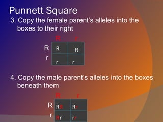 Punnett Square
3. Copy the female parent’s alleles into the
   boxes to their right
                R       r
            R R R       R
             r
               r     r

4. Copy the male parent’s alleles into the boxes
   beneath them
               R      r
             R RR Rr
             r Rr  rr
 