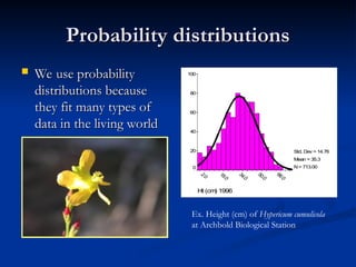 Probability distributions
Probability distributions
 We use probability
We use probability
distributions because
distributions because
they fit many types of
they fit many types of
data in the living world
data in the living world
Ht (cm
) 1996
100
80
60
40
20
0
Std. Dev = 14.76
Mean = 35.3
N= 713.00
Ex. Height (cm) of Hypericum cumulicola
at Archbold Biological Station
 