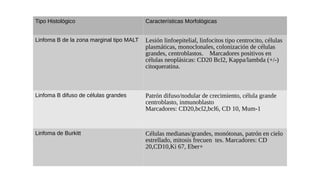 Tipo Histológico Características Morfológicas
Linfoma B de la zona marginal tipo MALT Lesión linfoepitelial, linfocitos tipo centrocito, células
plasmáticas, monoclonales, colonización de células
grandes, centroblastos. Marcadores positivos en
células neoplásicas: CD20 Bcl2, Kappa/lambda (+/-)
citoqueratina.
Linfoma B difuso de células grandes Patrón difuso/nodular de crecimiento, célula grande
centroblasto, inmunoblasto
Marcadores: CD20,bcl2,bcl6, CD 10, Mum-1
Linfoma de Burkitt Células medianas/grandes, monótonas, patrón en cielo
estrellado, mitosis frecuen tes. Marcadores: CD
20,CD10,Ki 67, Eber+
 