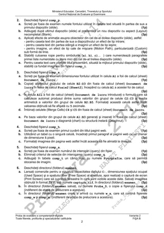 Proba d competente_digitale_var_02_fisa_b | PDF