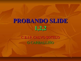 PROBANDO SLIDE
     1,2,2
  C.E.I.P. CALVO SOTELO
      O CARBALLIÑO
 