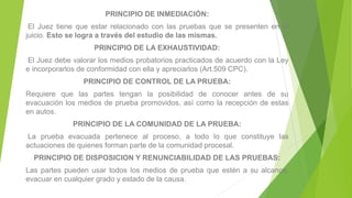 PRINCIPIO DE INMEDIACIÓN:
El Juez tiene que estar relacionado con las pruebas que se presenten en el
juicio. Esto se logra a través del estudio de las mismas.
PRINCIPIO DE LA EXHAUSTIVIDAD:
El Juez debe valorar los medios probatorios practicados de acuerdo con la Ley
e incorporarlos de conformidad con ella y apreciarlos (Art.509 CPC).
PRINCIPIO DE CONTROL DE LA PRUEBA:
Requiere que las partes tengan la posibilidad de conocer antes de su
evacuación los medios de prueba promovidos, así como la recepción de estas
en autos.
PRINCIPIO DE LA COMUNIDAD DE LA PRUEBA:
La prueba evacuada pertenece al proceso, a todo lo que constituye las
actuaciones de quienes forman parte de la comunidad procesal.
PRINCIPIO DE DISPOSICION Y RENUNCIABILIDAD DE LAS PRUEBAS:
Las partes pueden usar todos los medios de prueba que estén a su alcance,
evacuar en cualquier grado y estado de la causa.
 