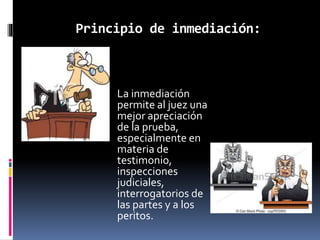 Principio de inmediación:
 La inmediación
permite al juez una
mejor apreciación
de la prueba,
especialmente en
materia de
testimonio,
inspecciones
judiciales,
interrogatorios de
las partes y a los
peritos.
 