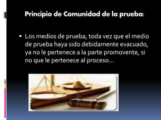 Principio de Comunidad de la prueba:
 Los medios de prueba, toda vez que el medio
de prueba haya sido debidamente evacuado,
ya no le pertenece a la parte promovente, si
no que le pertenece al proceso…
 