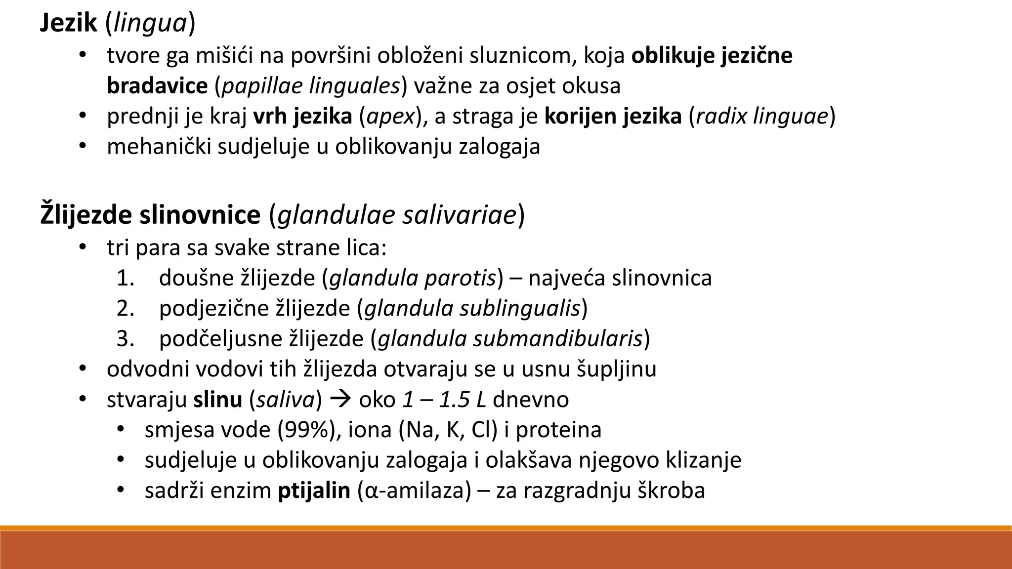 Jezik (lingua)
• tvore ga mišidi na površini obloženi sluznicom, koja oblikuje jezične
bradavice (papillae linguales) važne za osjet okusa
• prednji je kraj vrh jezika (apex), a straga je korijen jezika (radix linguae)
• mehanički sudjeluje u oblikovanju zalogaja
Žlijezde slinovnice (glandulae salivariae)
• tri para sa svake strane lica:
1. doušne žlijezde (glandula parotis) – najveda slinovnica
2. podjezične žlijezde (glandula sublingualis)
3. podčeljusne žlijezde (glandula submandibularis)
• odvodni vodovi tih žlijezda otvaraju se u usnu šupljinu
• stvaraju slinu (saliva)  oko 1 – 1.5 L dnevno
• smjesa vode (99%), iona (Na, K, Cl) i proteina
• sudjeluje u oblikovanju zalogaja i olakšava njegovo klizanje
• sadrži enzim ptijalin (α-amilaza) – za razgradnju škroba
 