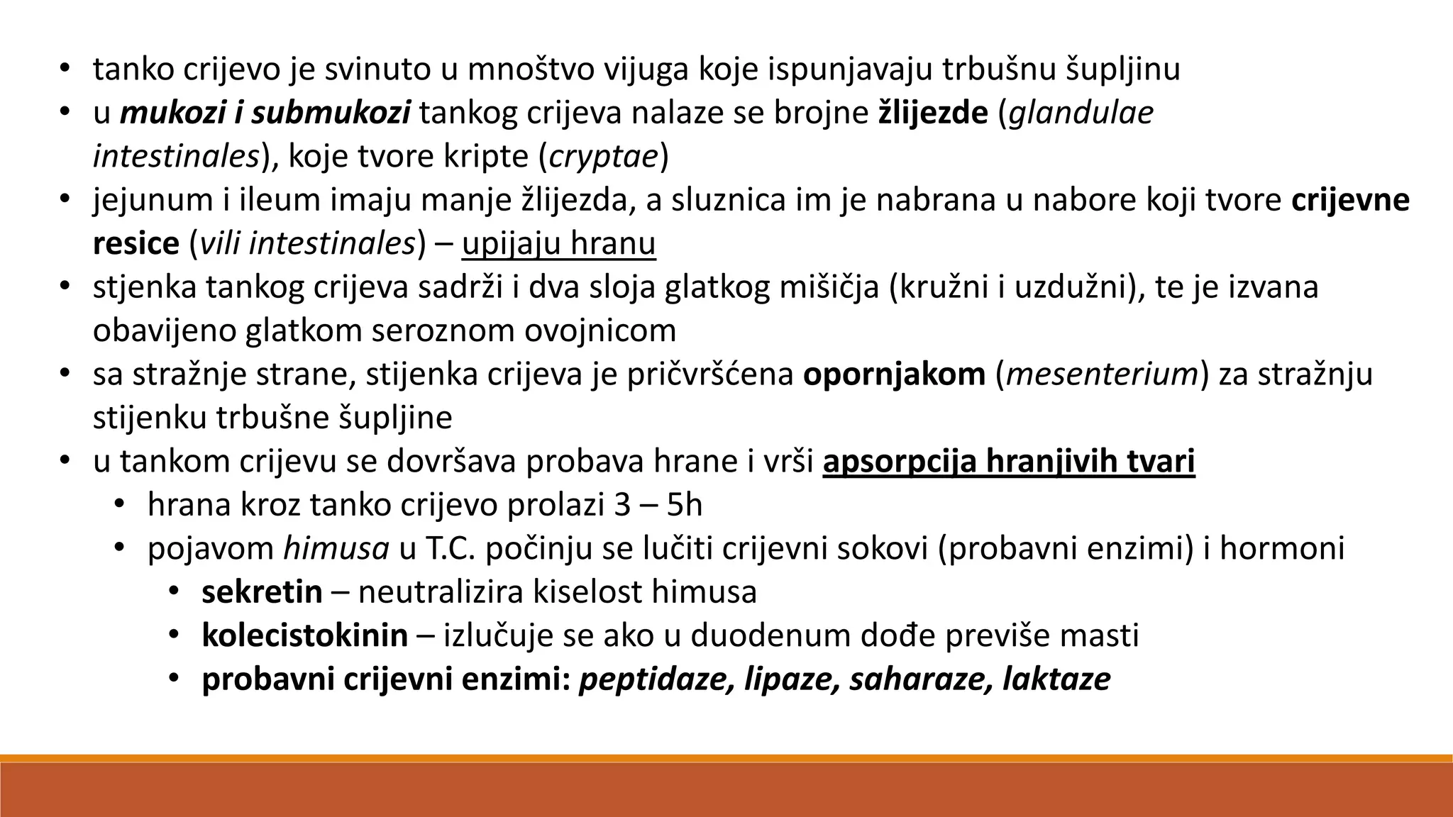 • tanko crijevo je svinuto u mnoštvo vijuga koje ispunjavaju trbušnu šupljinu
• u mukozi i submukozi tankog crijeva nalaze se brojne žlijezde (glandulae
intestinales), koje tvore kripte (cryptae)
• jejunum i ileum imaju manje žlijezda, a sluznica im je nabrana u nabore koji tvore crijevne
resice (vili intestinales) – upijaju hranu
• stjenka tankog crijeva sadrži i dva sloja glatkog mišičja (kružni i uzdužni), te je izvana
obavijeno glatkom seroznom ovojnicom
• sa stražnje strane, stijenka crijeva je pričvršdena opornjakom (mesenterium) za stražnju
stijenku trbušne šupljine
• u tankom crijevu se dovršava probava hrane i vrši apsorpcija hranjivih tvari
• hrana kroz tanko crijevo prolazi 3 – 5h
• pojavom himusa u T.C. počinju se lučiti crijevni sokovi (probavni enzimi) i hormoni
• sekretin – neutralizira kiselost himusa
• kolecistokinin – izlučuje se ako u duodenum dođe previše masti
• probavni crijevni enzimi: peptidaze, lipaze, saharaze, laktaze
 