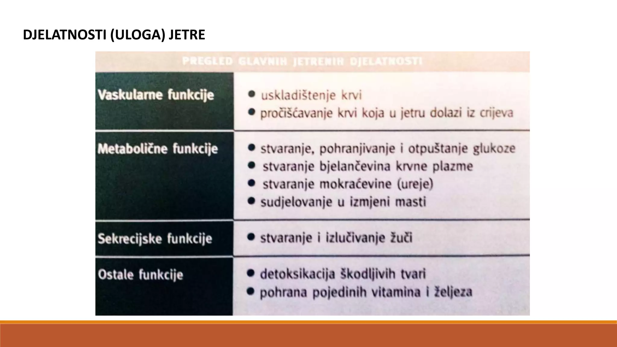 DJELATNOSTI (ULOGA) JETRE
 