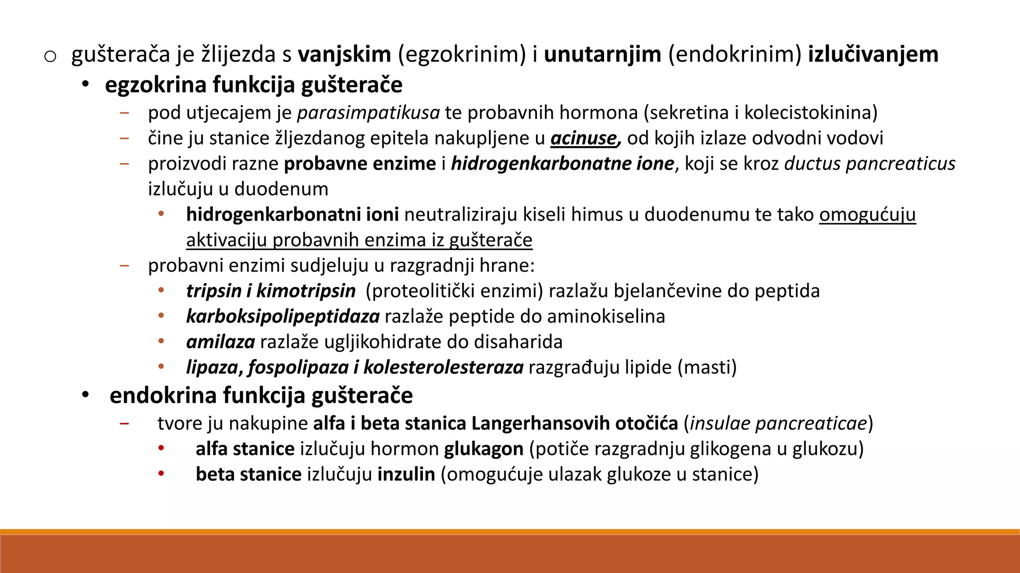 o gušterača je žlijezda s vanjskim (egzokrinim) i unutarnjim (endokrinim) izlučivanjem
• egzokrina funkcija gušterače
− pod utjecajem je parasimpatikusa te probavnih hormona (sekretina i kolecistokinina)
− čine ju stanice žljezdanog epitela nakupljene u acinuse, od kojih izlaze odvodni vodovi
− proizvodi razne probavne enzime i hidrogenkarbonatne ione, koji se kroz ductus pancreaticus
izlučuju u duodenum
• hidrogenkarbonatni ioni neutraliziraju kiseli himus u duodenumu te tako omoguduju
aktivaciju probavnih enzima iz gušterače
− probavni enzimi sudjeluju u razgradnji hrane:
• tripsin i kimotripsin (proteolitički enzimi) razlažu bjelančevine do peptida
• karboksipolipeptidaza razlaže peptide do aminokiselina
• amilaza razlaže ugljikohidrate do disaharida
• lipaza, fospolipaza i kolesterolesteraza razgrađuju lipide (masti)
• endokrina funkcija gušterače
− tvore ju nakupine alfa i beta stanica Langerhansovih otočida (insulae pancreaticae)
• alfa stanice izlučuju hormon glukagon (potiče razgradnju glikogena u glukozu)
• beta stanice izlučuju inzulin (omoguduje ulazak glukoze u stanice)
 