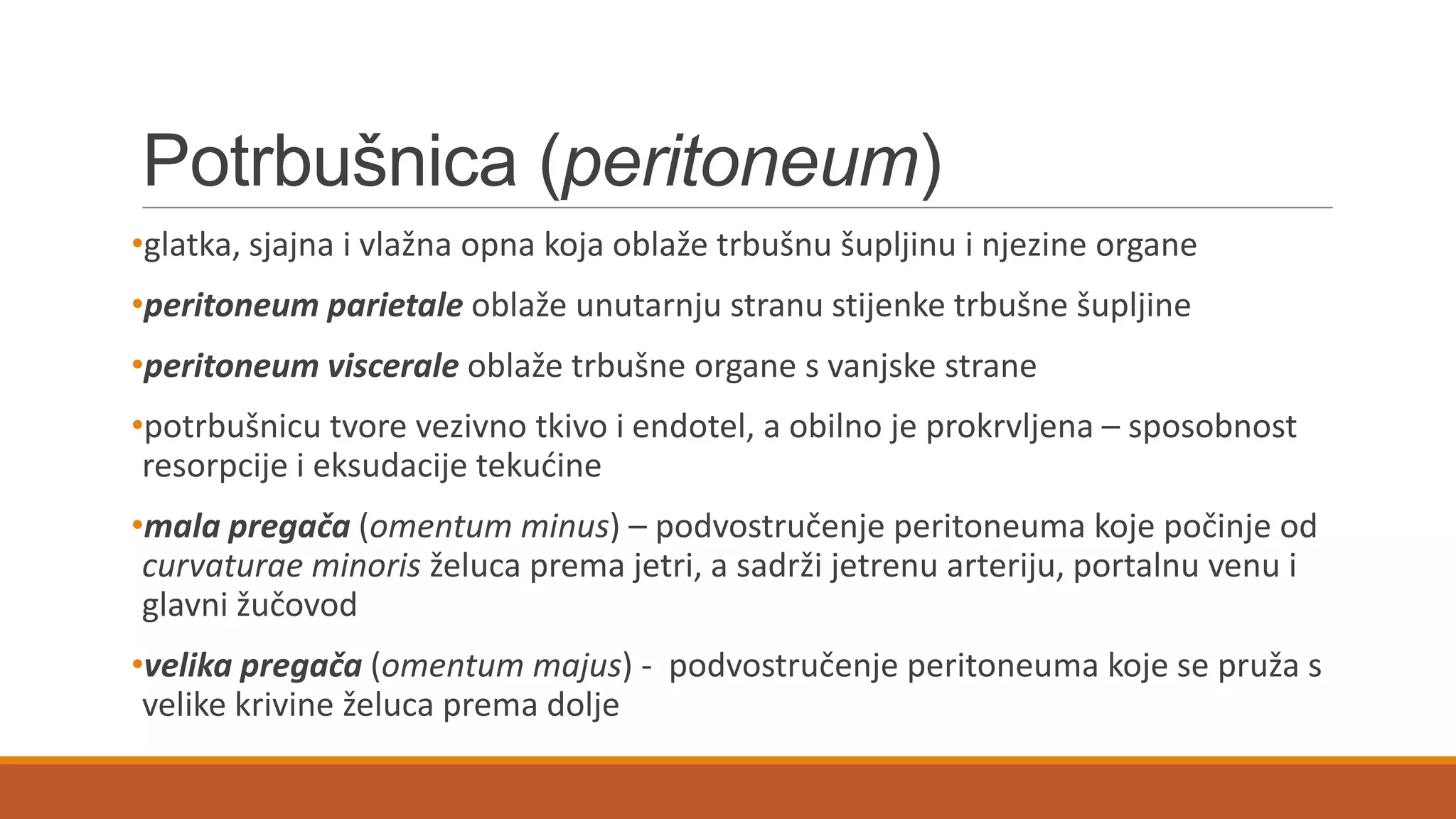 Potrbušnica (peritoneum)
•glatka, sjajna i vlažna opna koja oblaže trbušnu šupljinu i njezine organe
•peritoneum parietale oblaže unutarnju stranu stijenke trbušne šupljine
•peritoneum viscerale oblaže trbušne organe s vanjske strane
•potrbušnicu tvore vezivno tkivo i endotel, a obilno je prokrvljena – sposobnost
resorpcije i eksudacije tekudine
•mala pregača (omentum minus) – podvostručenje peritoneuma koje počinje od
curvaturae minoris želuca prema jetri, a sadrži jetrenu arteriju, portalnu venu i
glavni žučovod
•velika pregača (omentum majus) - podvostručenje peritoneuma koje se pruža s
velike krivine želuca prema dolje
 
