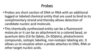Probes
•Probes are short section of DNA or RNA with an additional
tagged or labeled chemical entity that are used to bind to its
complimentary strand and thereby allows detection of
candidate nucleic acid molecule.
•This chemically synthesized entity can be a fluorescent
molecule or it can be an attachment to a colored bead, or
quantum dots (Cd-Se Qdots, Zn-SQdots), photochromic
compounds, isotopic labeling, non-isotopic labeling etc. It
allows us to visualize when a probe attaches to DNA, RNA or
other target nucleic acids.
 