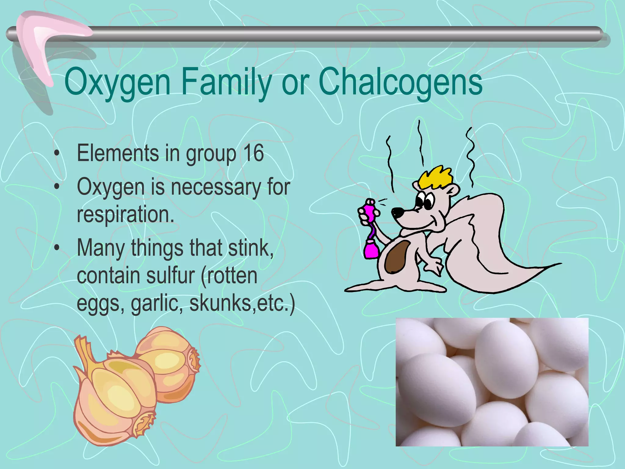 Oxygen Family or Chalcogens Elements in group 16 Oxygen is necessary for respiration. Many things that stink, contain sulfur (rotten eggs, garlic, skunks,etc.)  
