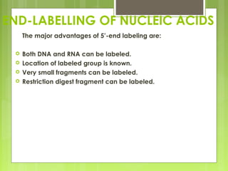 Probe labeling | PPT