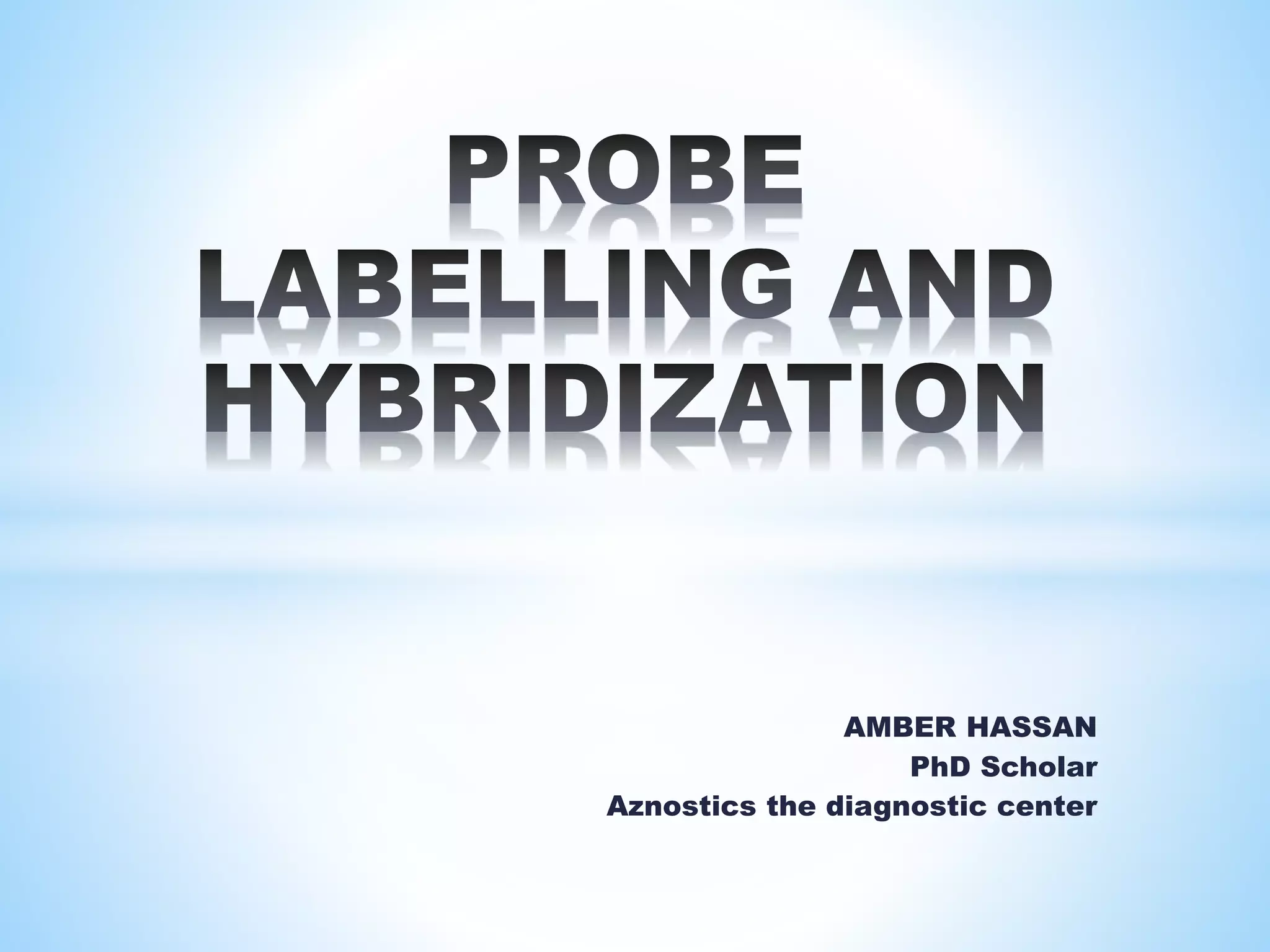 Probe labelling and hybridization PPT
