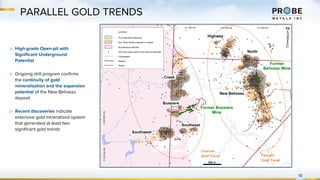 PARALLEL GOLD TRENDS
10
▷ High-grade Open-pit with
Significant Underground
Potential
▷ Ongoing drill program confirms
the continuity of gold
mineralization and the expansion
potential of the New Beliveau
deposit
▷ Recent discoveries indicate
extensive gold mineralized system
that generated at least two
significant gold trends
Courvan
Gold Trend Pascalis
Gold Trend
 