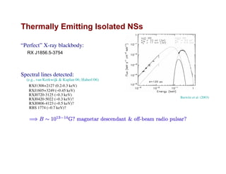 Thermally Emitting Isolated NSs
Burwitz et al. (2003)
“Perfect” X-ray blackbody:
RX J1856.5-3754
Spectral lines detected:
(e.g., van Kerkwijk & Kaplan 06; Haberl 06)
RXJ1308+2127 (0.2-0.3 keV)
RXJ1605+3249 (~0.45 keV)
RXJ0720-3125 (~0.3 keV)
RXJ0420-5022 (~0.3 keV)?
RXJ0806-4123 (~0.5 keV)?
RBS 1774 (~0.7 keV)?
 