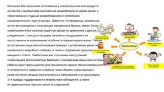 Кишечная бактериальная колонизация у новорожденных инициируется
контактом с материнской вагинальной микрофлорой во время родов, а
также связана с грудным вскармливанием и состоянием
пищеварительного тракта матери. Известно, что младенцы, рожденные
естественным путем и получающие материнское молоко, имеют более
многочисленную и сложную кишечную флору по сравнению с детьми,
рожденными с помощью кесарева сечения и находящимися на
искусственном вскармливании, особенно в первые недели жизни. Ранняя
естественная кишечная колонизация приводит к устойчивому развитию
нормального микробного пейзажа, а также к созреванию хорошего
иммунного ответа. Симбиотические отношения между ранней
колонизацией молочнокислых бактерий и созреванием иммунной системы
ребенка дают преимущество для становления хорошо сбалансированного
и толерогенного иммунного ответа и таким образом предотвращают
развитие более поздних воспалительных заболеваний и их хронизацию.
Эти выводы поддерживаются множеством наблюдений, а также
интервенционных перспективных исследований.
 
