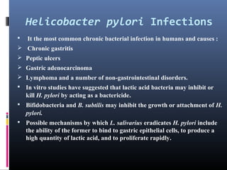 Helicobacter pylori Infections


It the most common chronic bacterial infection in humans and causes :

 Chronic gastritis
 Peptic ulcers
 Gastric adenocarcinoma
 Lymphoma and a number of non-gastrointestinal disorders.
 In vitro studies have suggested that lactic acid bacteria may inhibit or

kill H. pylori by acting as a bactericide.
 Bifidobacteria and B. subtilis may inhibit the growth or attachment of H.

pylori.
 Possible mechanisms by which L. salivarius eradicates H. pylori include

the ability of the former to bind to gastric epithelial cells, to produce a
high quantity of lactic acid, and to proliferate rapidly.

 
