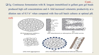 Conti…
 Eg. Continuous fermentation with B. longum immobilized in gellant gum gel beads
produced high cell concentrations and 4- fold increased volumetric productivity at a
dilution rate of 0.5 h-1 when compared with free-cell batch cultures at optimal pH.
(reference)
34
 