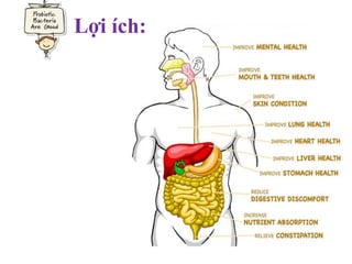 Lợi ích:
 