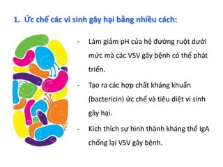 - Làm giảm pH của hệ đường ruột dưới
mức mà các VSV gây bệnh có thể phát
triển.
- Tạo ra các hợp chất kháng khuẩn
(bactericin) ức chế và tiêu diệt vi sinh
gây hại.
- Kích thích sự hình thành kháng thể IgA
chống lại VSV gây bệnh.
1. Ức chế các vi sinh gây hại bằng nhiều cách:
 