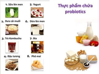 Thực phẩm chứa
probiotics
Trà Kombucha
Dưa cải muối
Đậu tương
Bia
Phô mai
Sữa lên men
Dừa lên men
Yogurt
 