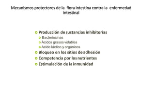 Mecanismos protectores de la flora intestina contra la enfermedad
intestinal
 Producción desustancias inhibitorias
 Bacteriocinas
 Ácidos grasos volátiles
 Acido láctico y orgánicos
 Bloqueo en los sitios deadhesión
 Competencia por losnutrientes
 Estimulación de lainmunidad
 