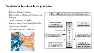 Propiedades deseables de un probiótico
• Debe ser de origen humano
• Debe ejercer un efecto beneficioso en el
huésped
• Ser no patógeno y no toxico
• Contener gran numero de células viables
• Ser capaz de sobrevivir
• Ser antagónico a los patógenos
 
