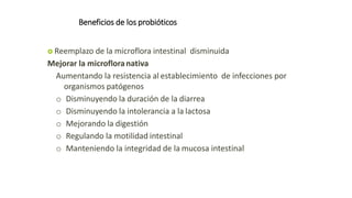 Beneficios de los probióticos
 Reemplazo de la microflora intestinal disminuida
Mejorar la microfloranativa
Aumentando la resistencia al establecimiento de infecciones por
organismos patógenos
o Disminuyendo la duración de la diarrea
o Disminuyendo la intolerancia a la lactosa
o Mejorando la digestión
o Regulando la motilidad intestinal
o Manteniendo la integridad de la mucosa intestinal
 
