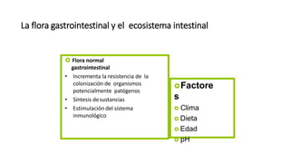 La flora gastrointestinal y el ecosistema intestinal
 Flora normal
gastrointestinal
• Incrementa la resistencia de la
colonización de organismos
potencialmente patógenos
• Síntesis desustancias
• Estimulación del sistema
inmunológico
Factore
s
 Clima
 Dieta
 Edad
 pH
 