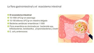  El ecosistema intestinal
 10-1000 UFC/gr en estomago
 10-100 billones UFC/gr en intestino delgado
 Bacterias aeróbicas/ anaeróbicas1:1000
 Flora anaeróbica es dominada por bacteroide spp,
bifidobacterias, lactobacillus, propionobacterias y clostridias
 E. coli y enterococos
La flora gastrointestinal y el ecosistema intestinal
 