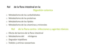 Rol de la flora intestinal en la:
Digestión colonica
o Metabolismo de los carbohidratos
o Metabolismo de las proteínas
o Metabolismo de los lípidos
o Metabolismo de las vitaminas y minerales
Rol de la flora contra infecciones y agentes tóxicos
o Efecto de barrera de la flora intestinal
o Metabolismo del nitrógeno
o Degradar triptófano
o Índoles y aminas vasoactivas
 