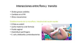 Interacciones entre flora y transito
• Ácidos grasos volátiles
• Cambios en el PH
• Otros mecanismos
Establecimiento de la microflora intestinal del recién nacido
• El feto es estéril
• Leche materna o de formula
• Fluido vaginal
• Clostridium perfringers
• E. coli y klebsiella y enterobacterias
 