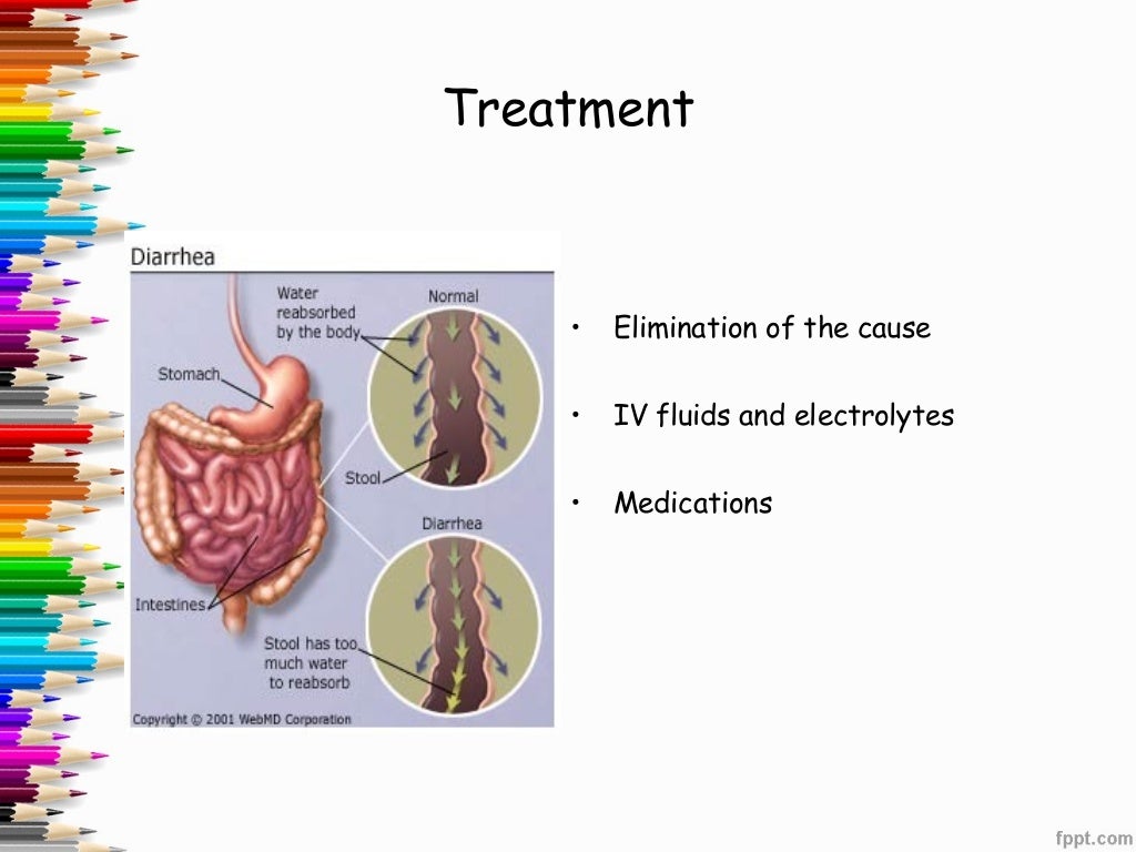 Probiotic a treatment option in diarrhea and ibs