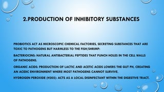Probiotic bacteria and its importance in aquaculture.pptx