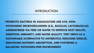 Probiotic bacteria and its importance in aquaculture.pptx