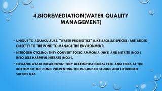Probiotic bacteria and its importance in aquaculture.pptx