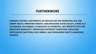 Probiotic bacteria and its importance in aquaculture.pptx