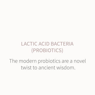 Probiotic Collagen Drink from Brand Nizen