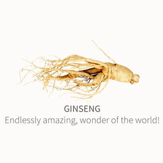 Probiotic Collagen Drink from Brand Nizen