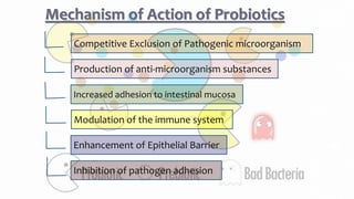 Mechanism of Action of Probiotics
Enhancement of Epithelial Barrier
Increased adhesion to intestinal mucosa
Production of anti-microorganism substances
Modulation of the immune system
Inhibition of pathogen adhesion
Competitive Exclusion of Pathogenic microorganism
 
