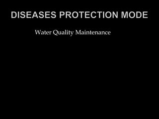 Water Quality Maintenance
 