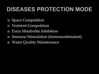  Space Competition
 Nutrient Competition
 Extra Metabolite Inhibition
 Immune Stimulation (Immunostimulant)
 Water Quality Maintenance
 