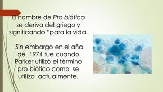 El nombre de Pro biótico
se deriva del griego y
significando “para la vida.
Sin embargo en el año
de 1974 fue cuando
Parker utilizó el término
pro biótico como se
utiliza actualmente.
 