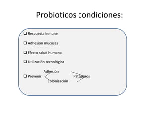 Probioticos condiciones: Respuesta inmune