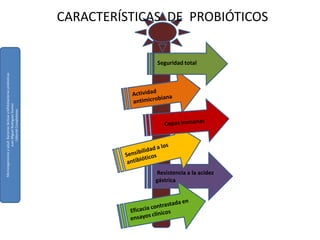 MICROORGANISMOS PROBIOTICOSEn general son bacterias “ácido lácticas”, principalmente pertenecientes a los géneros Lactobacilos