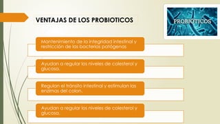 VENTAJAS DE LOS PROBIOTICOS
Mantenimiento de la integridad intestinal y
restricción de las bacterias patógenas
Ayudan a regular los niveles de colesterol y
glucosa.
Regulan el tránsito intestinal y estimulan las
enzimas del colon.
Ayudan a regular los niveles de colesterol y
glucosa.
 