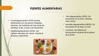 FUENTES ALIMENTARIAS
• Fructooligosacáridos (FOS) fuentes
alimentarias son los granos integrales,
bananas, las hortalizas de hoja verde las
cebollas, el ajo, la soja y las alcachofas
• Galactooligosacáridos (GOS). Las
fuentes naturales son: leche, incluida la
humana y legumbres.
• Xilo-oligosacaridos (XOS). Se
encuentran en la fruta, verduras,
miel y leche.
• Isomalto-oligosacaridos (IMOS). Se
encuentran en la soja y la miel.
• Lactulosa. Se obtiene por
isomerización alcalina de la lactosa
de la leche.
 