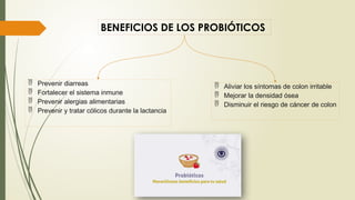 BENEFICIOS DE LOS PROBIÓTICOS
 Prevenir diarreas
 Fortalecer el sistema inmune
 Prevenir alergias alimentarias
 Prevenir y tratar cólicos durante la lactancia
 Aliviar los síntomas de colon irritable
 Mejorar la densidad ósea
 Disminuir el riesgo de cáncer de colon
 